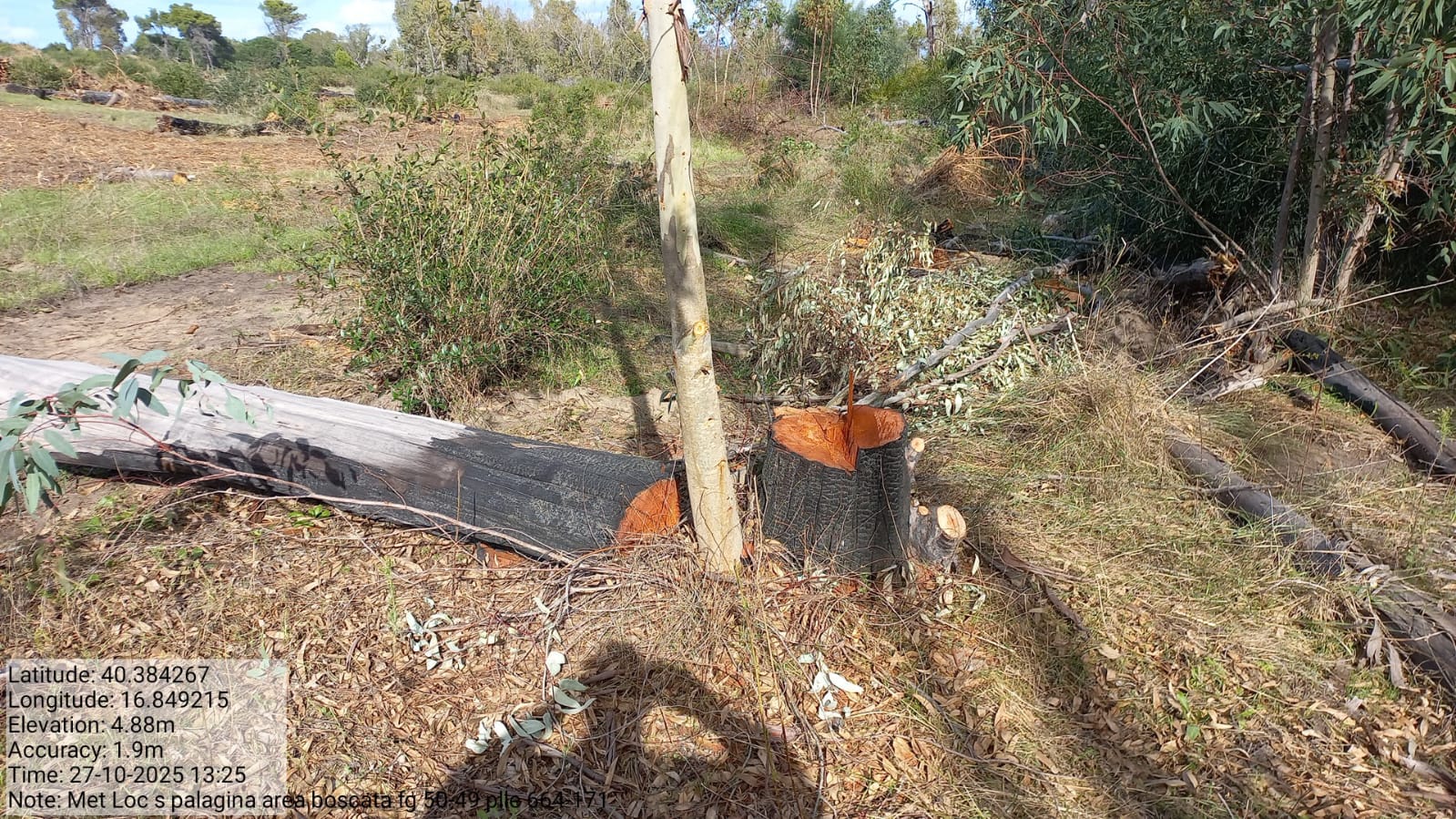 Galleria Fotografica Immagine