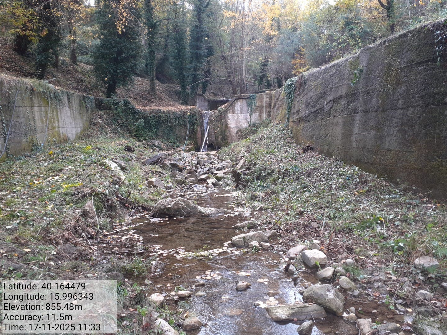 Galleria Fotografica Immagine