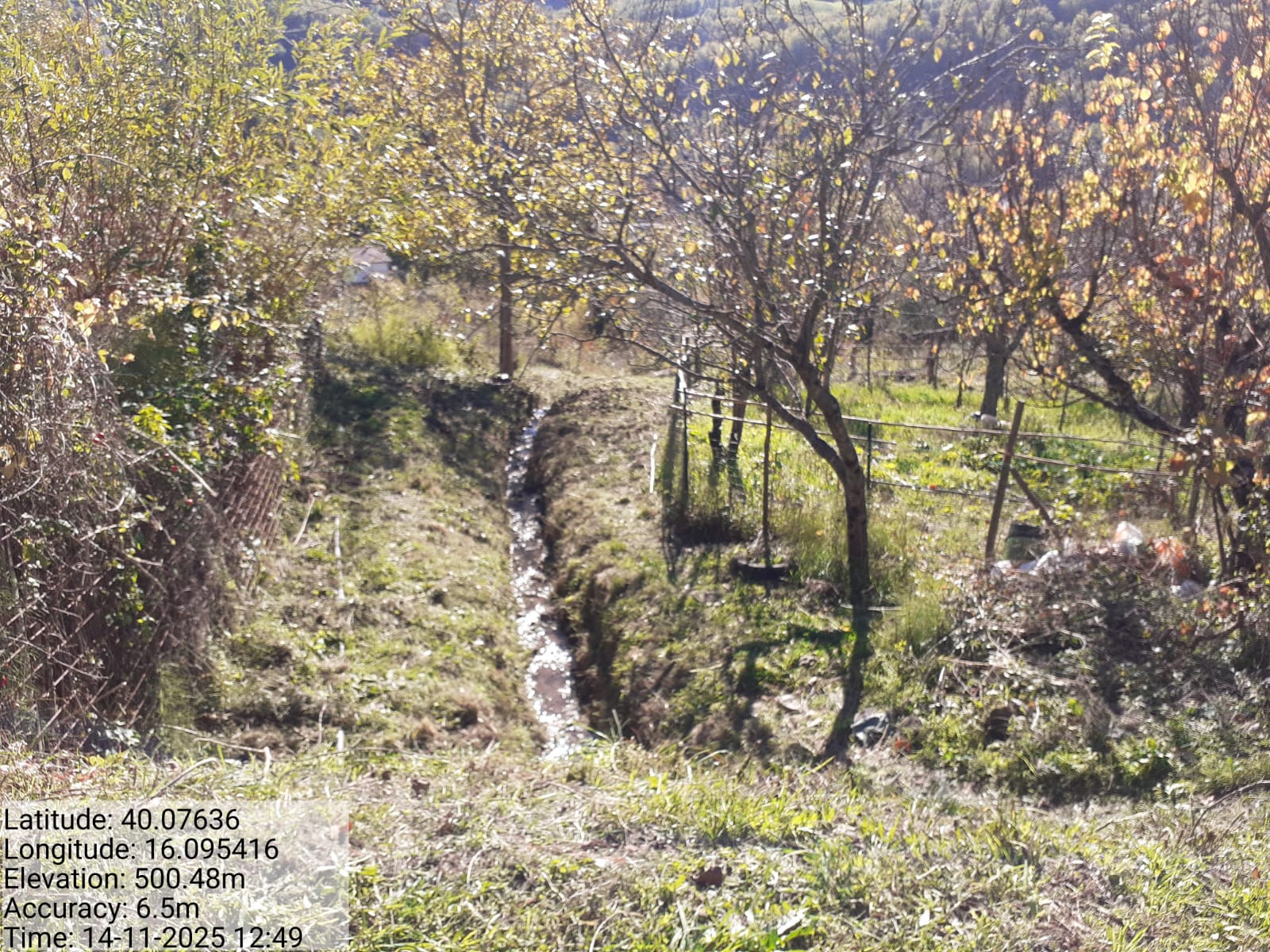 Galleria Fotografica Immagine