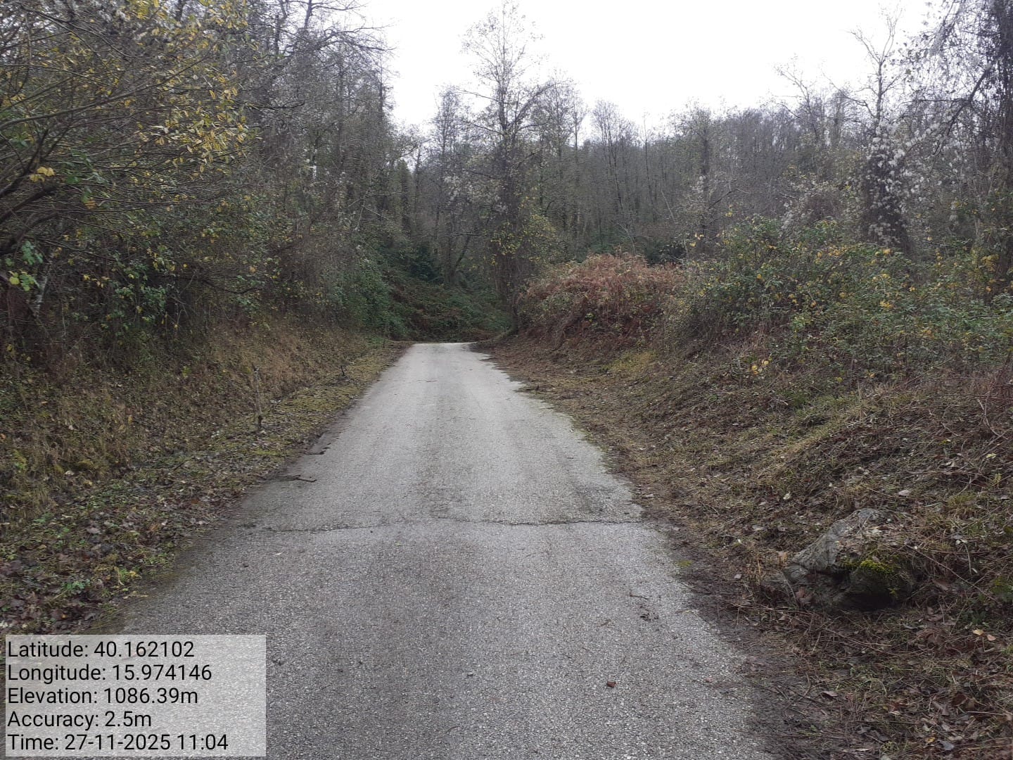 Galleria Fotografica Immagine