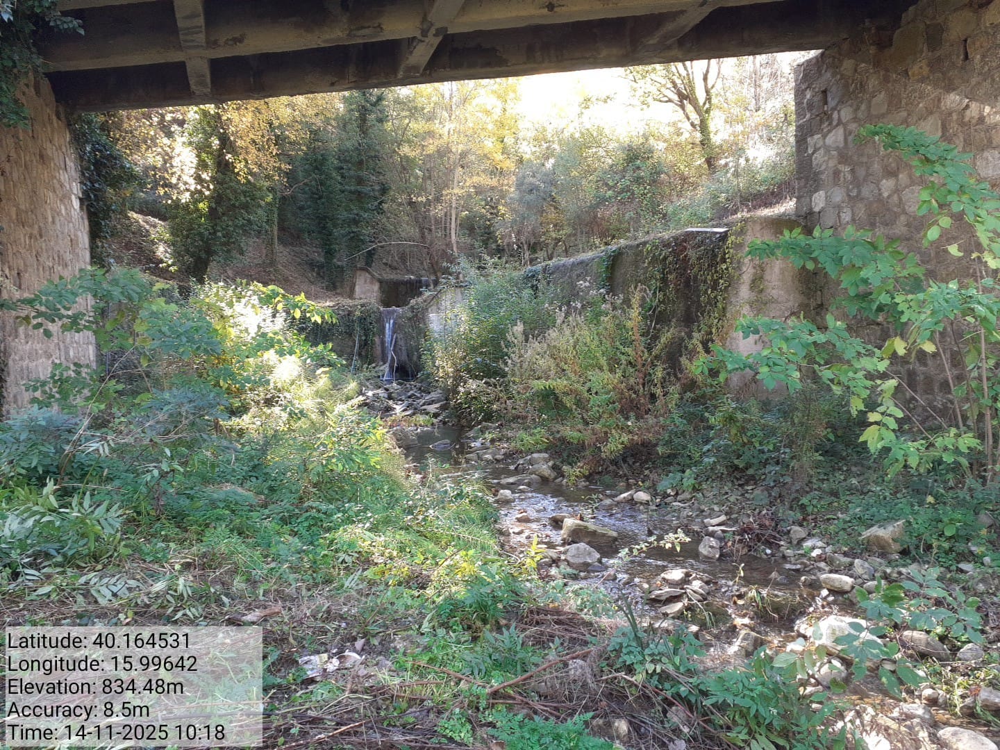 Galleria Fotografica Immagine