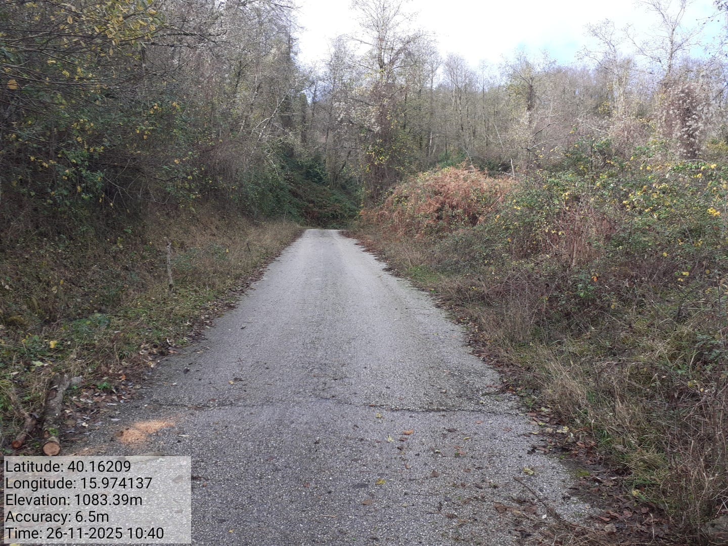 Galleria Fotografica Immagine