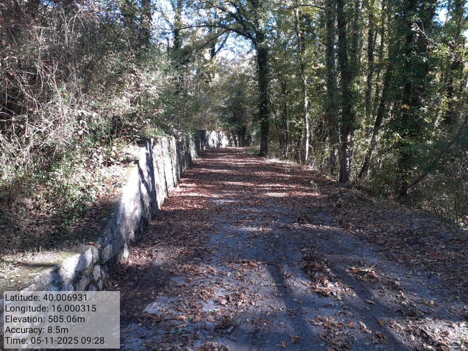 Galleria Fotografica Immagine