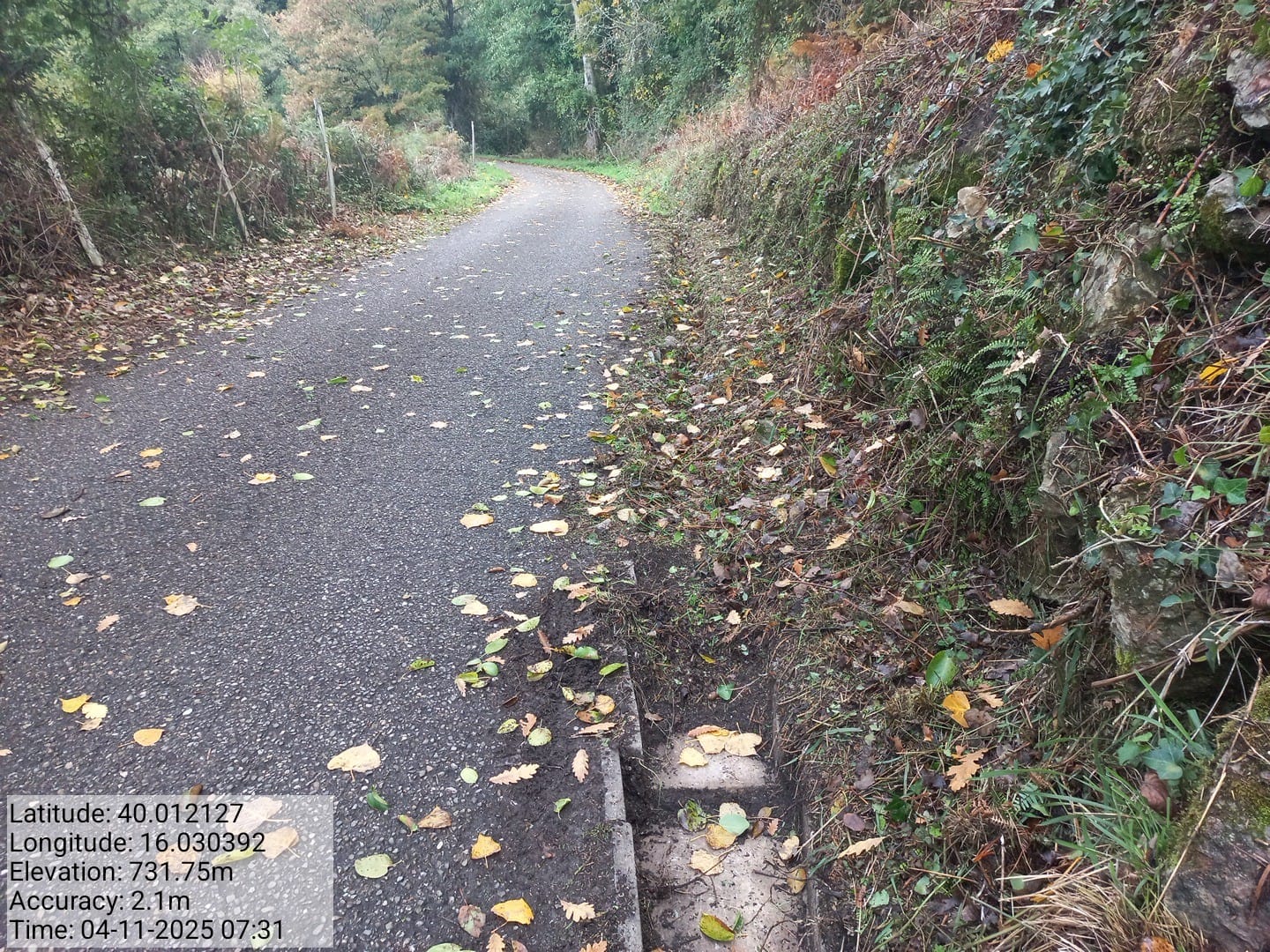 Galleria Fotografica Immagine