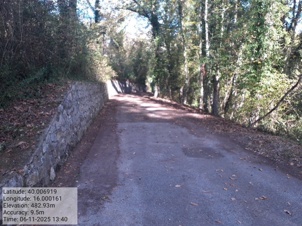 Galleria Fotografica Immagine