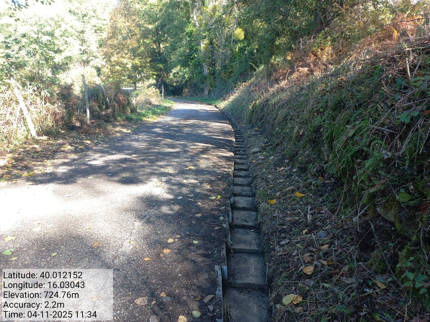 Galleria Fotografica Immagine