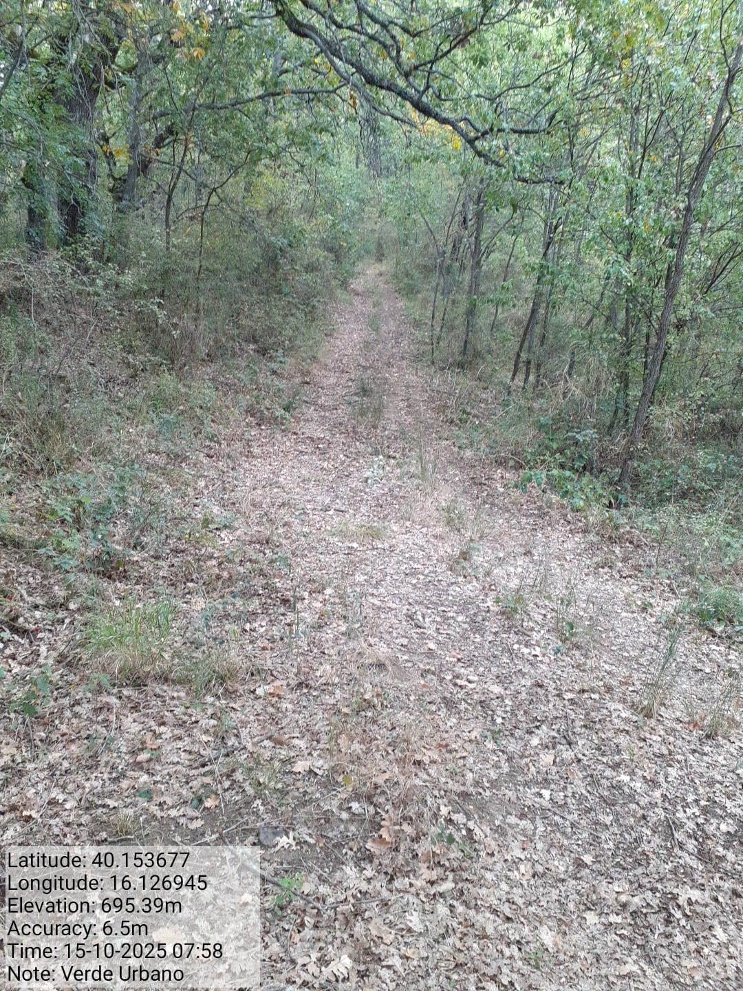 Galleria Fotografica Immagine