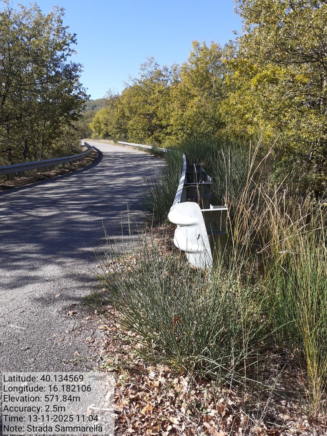 Galleria Fotografica Immagine