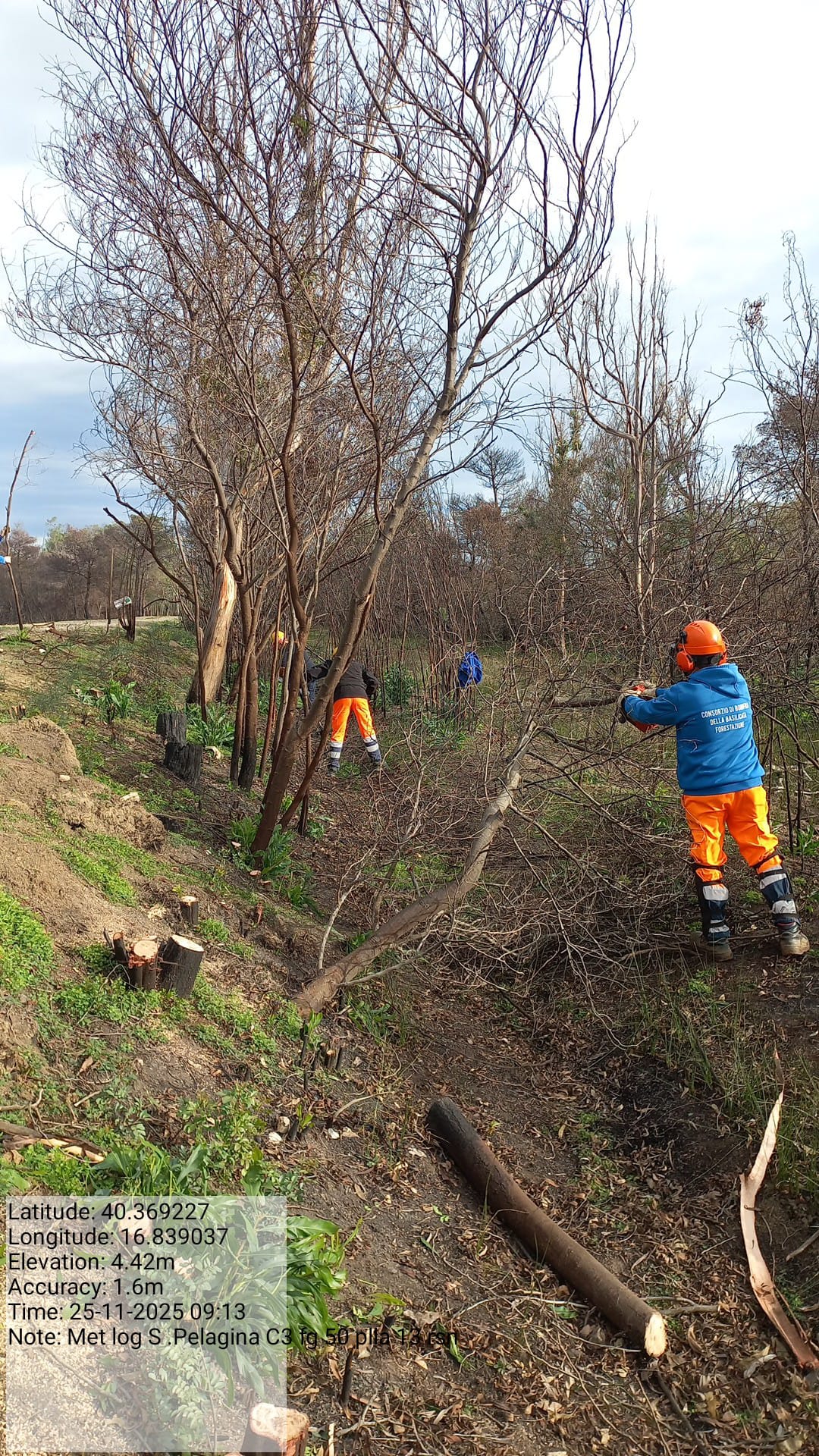 Galleria Fotografica Immagine