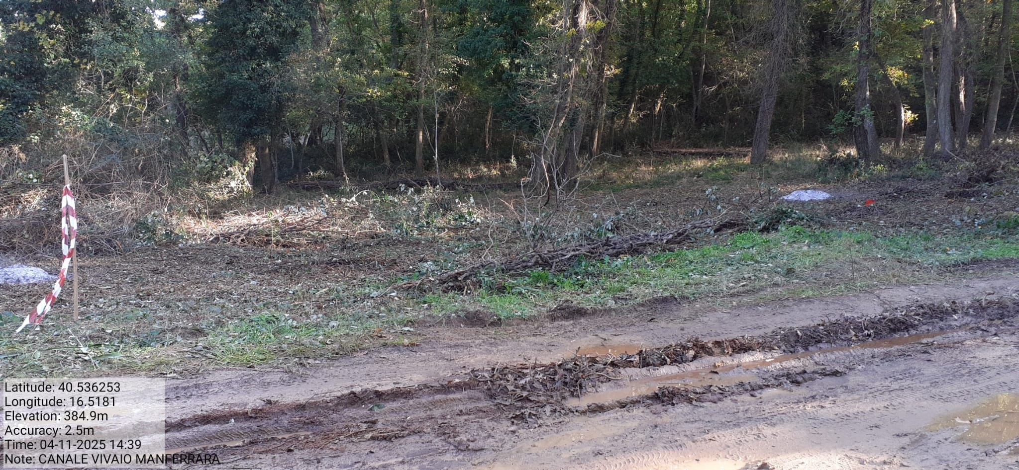 Galleria Fotografica Immagine