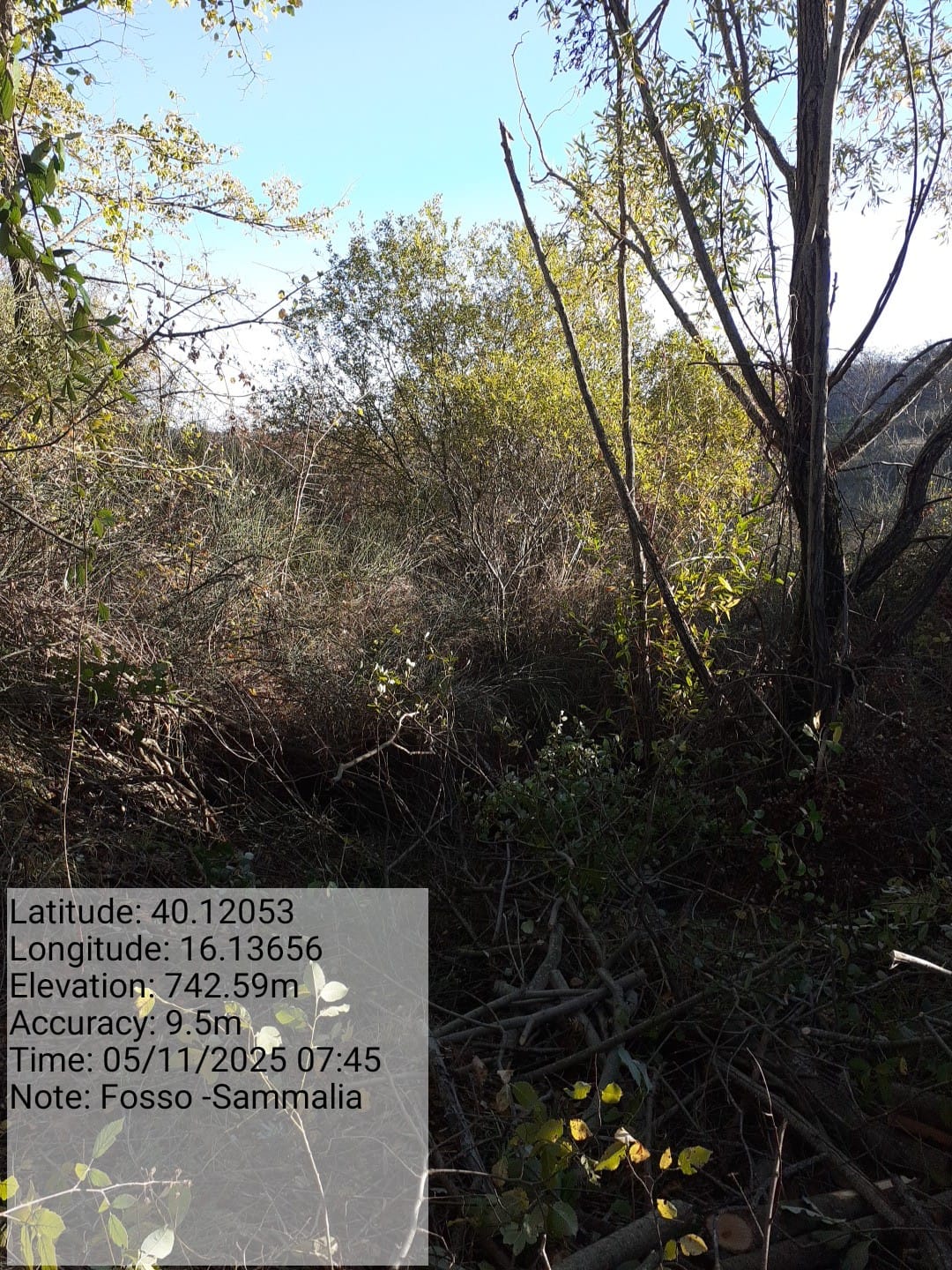 Galleria Fotografica Immagine