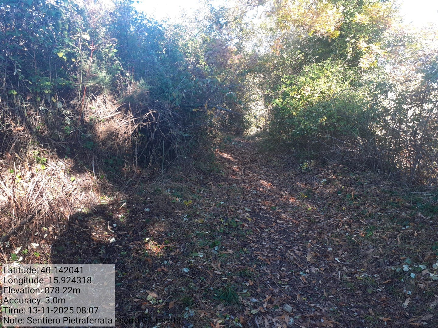 Galleria Fotografica Immagine