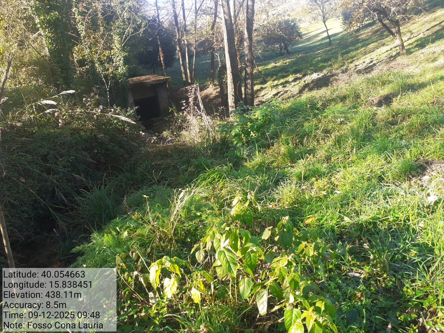 Galleria Fotografica Immagine