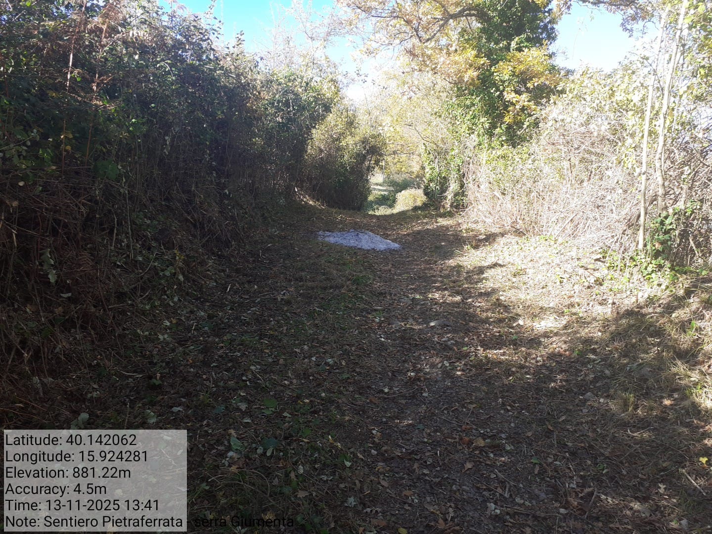 Galleria Fotografica Immagine