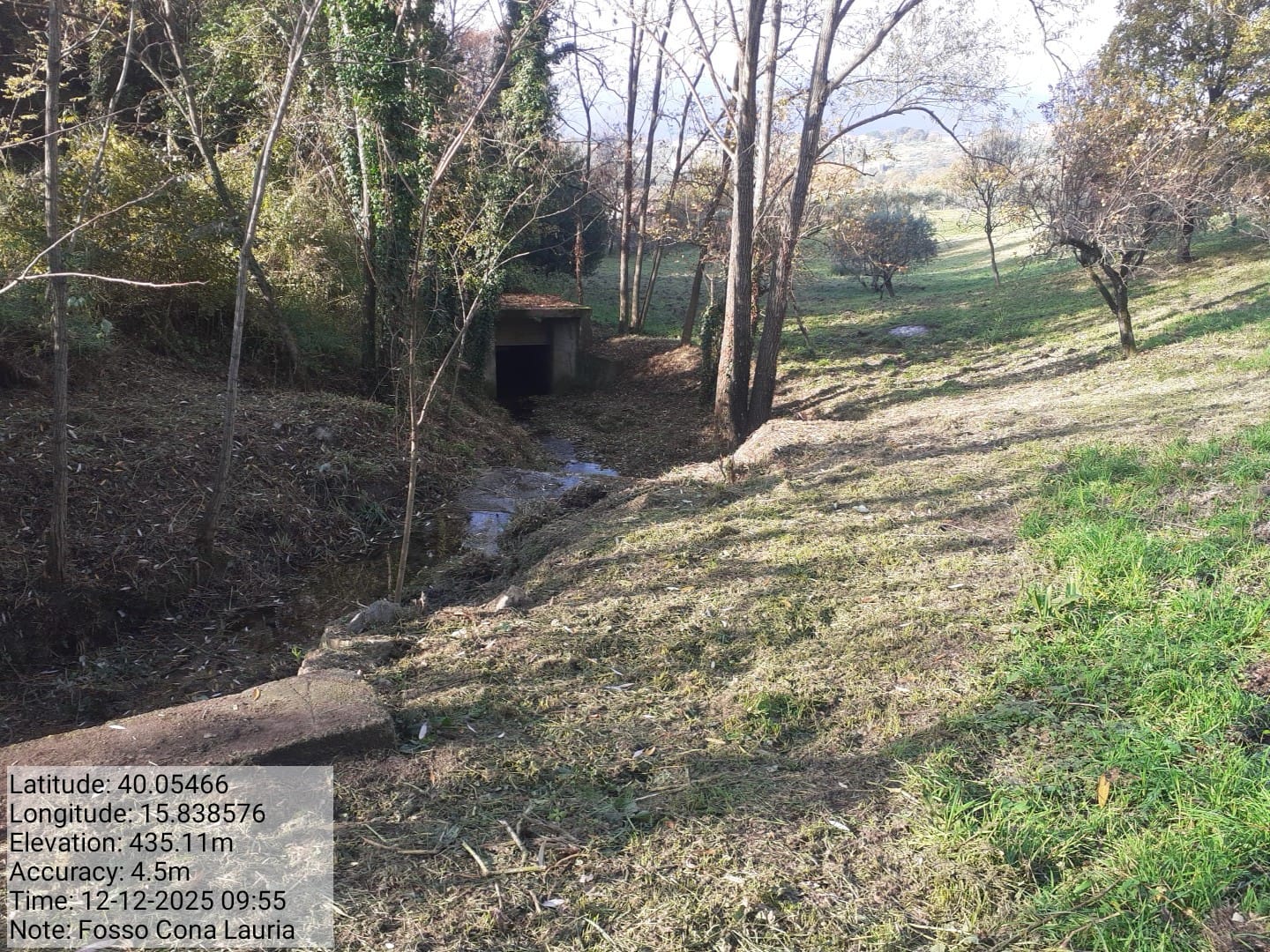 Galleria Fotografica Immagine