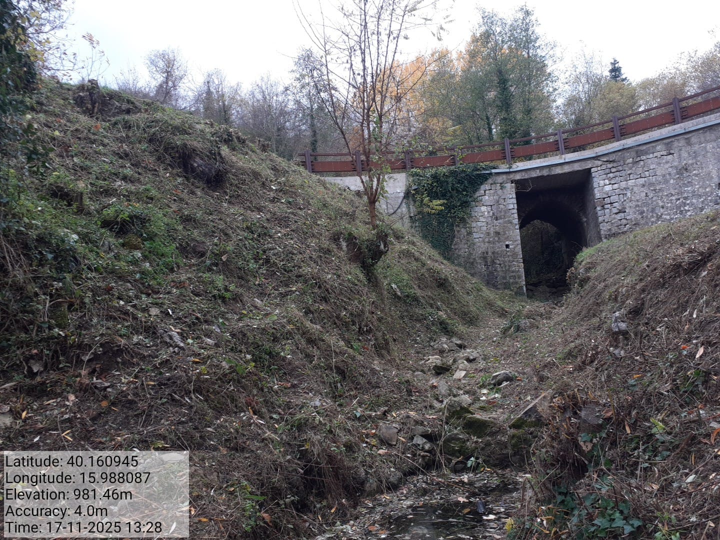 Galleria Fotografica Immagine