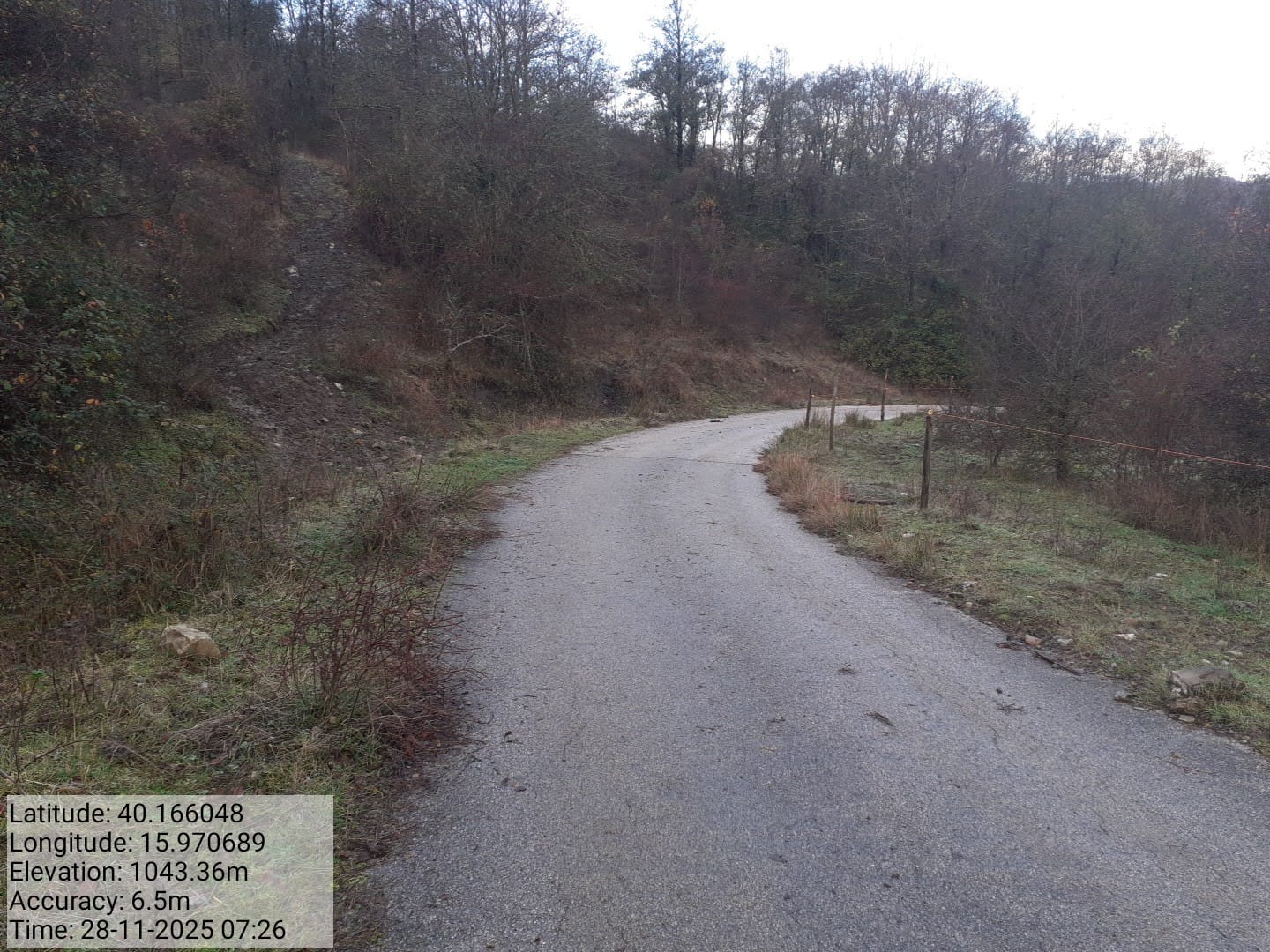 Galleria Fotografica Immagine