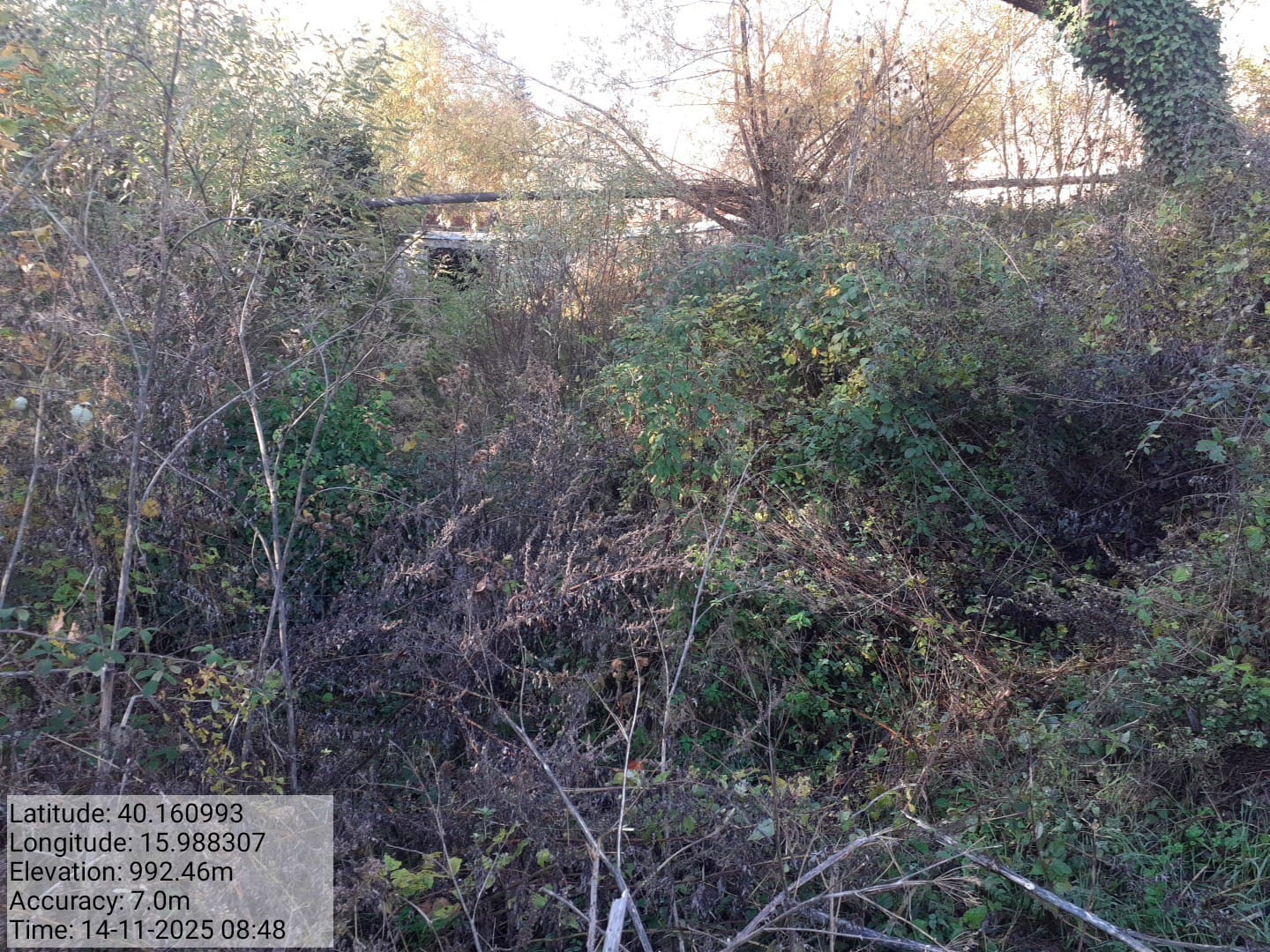 Galleria Fotografica Immagine