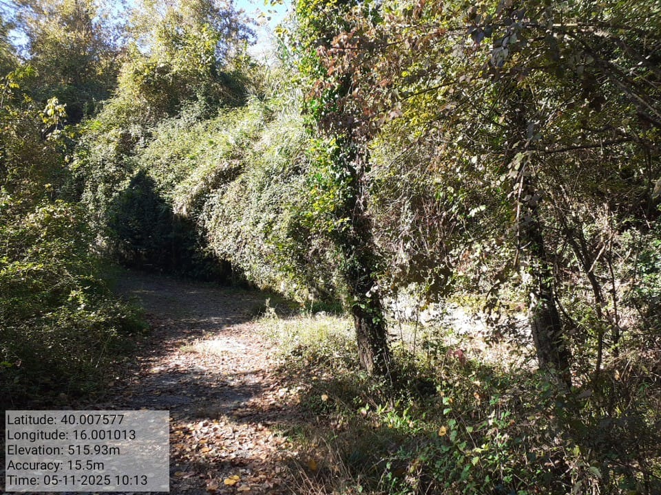 Galleria Fotografica Immagine