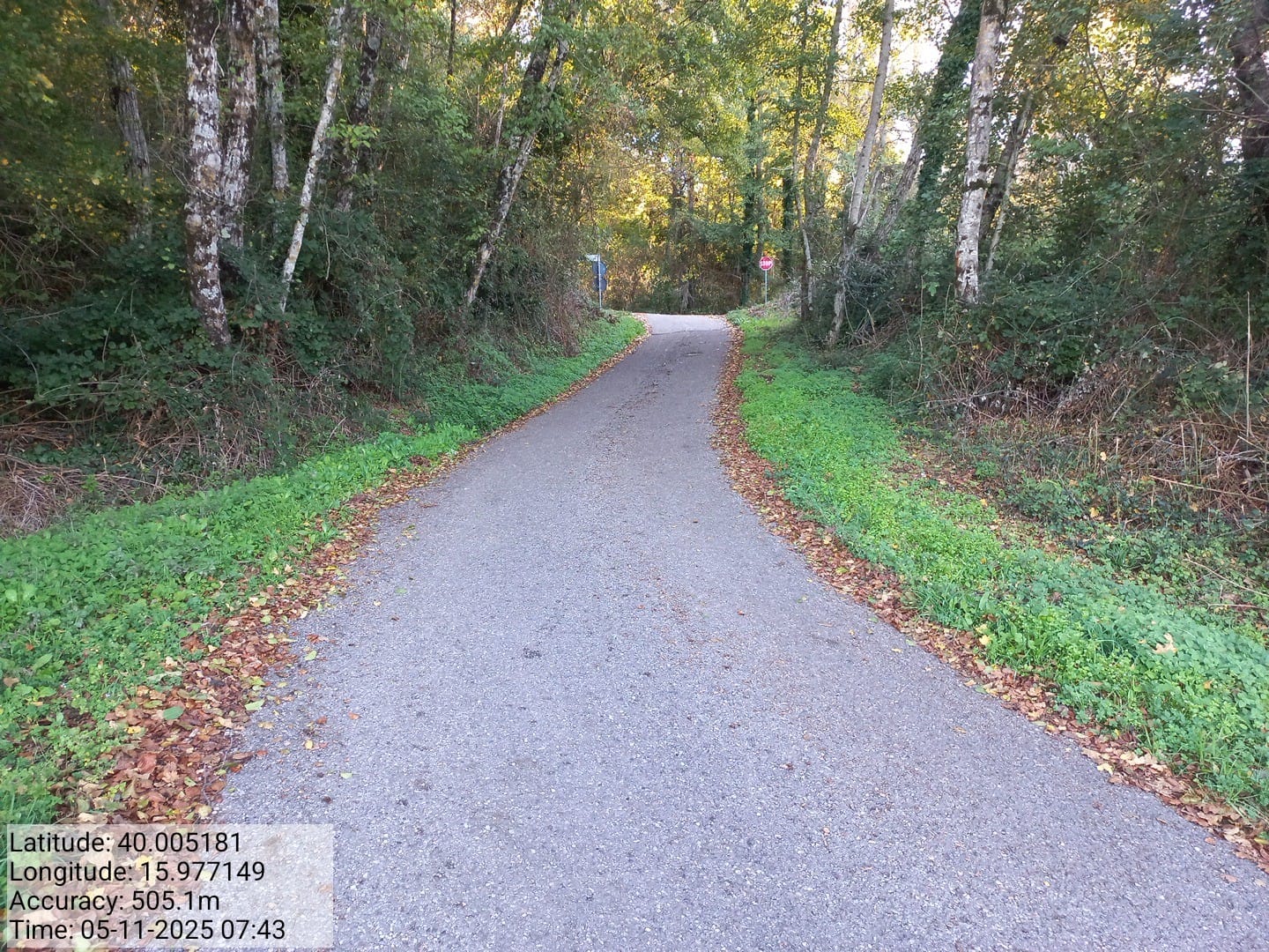 Galleria Fotografica Immagine