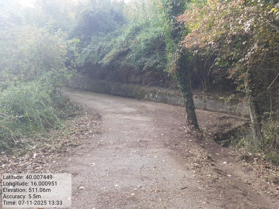 Galleria Fotografica Immagine