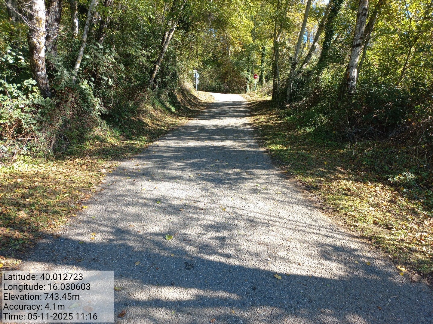 Galleria Fotografica Immagine