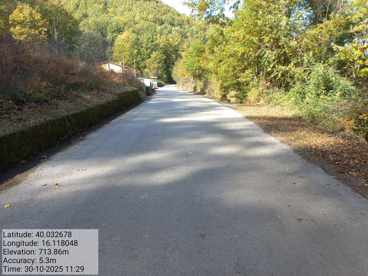 Galleria Fotografica Immagine