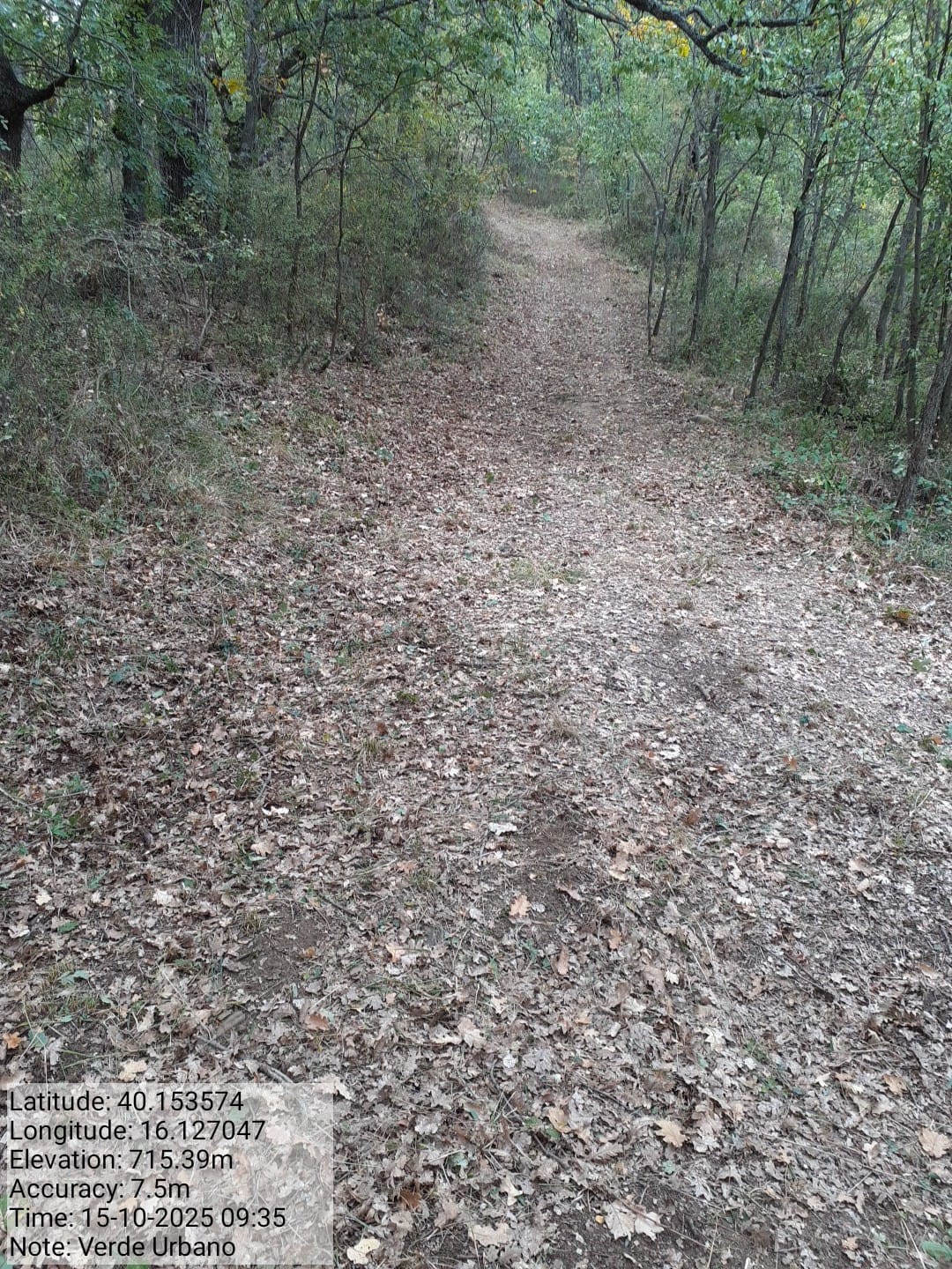 Galleria Fotografica Immagine