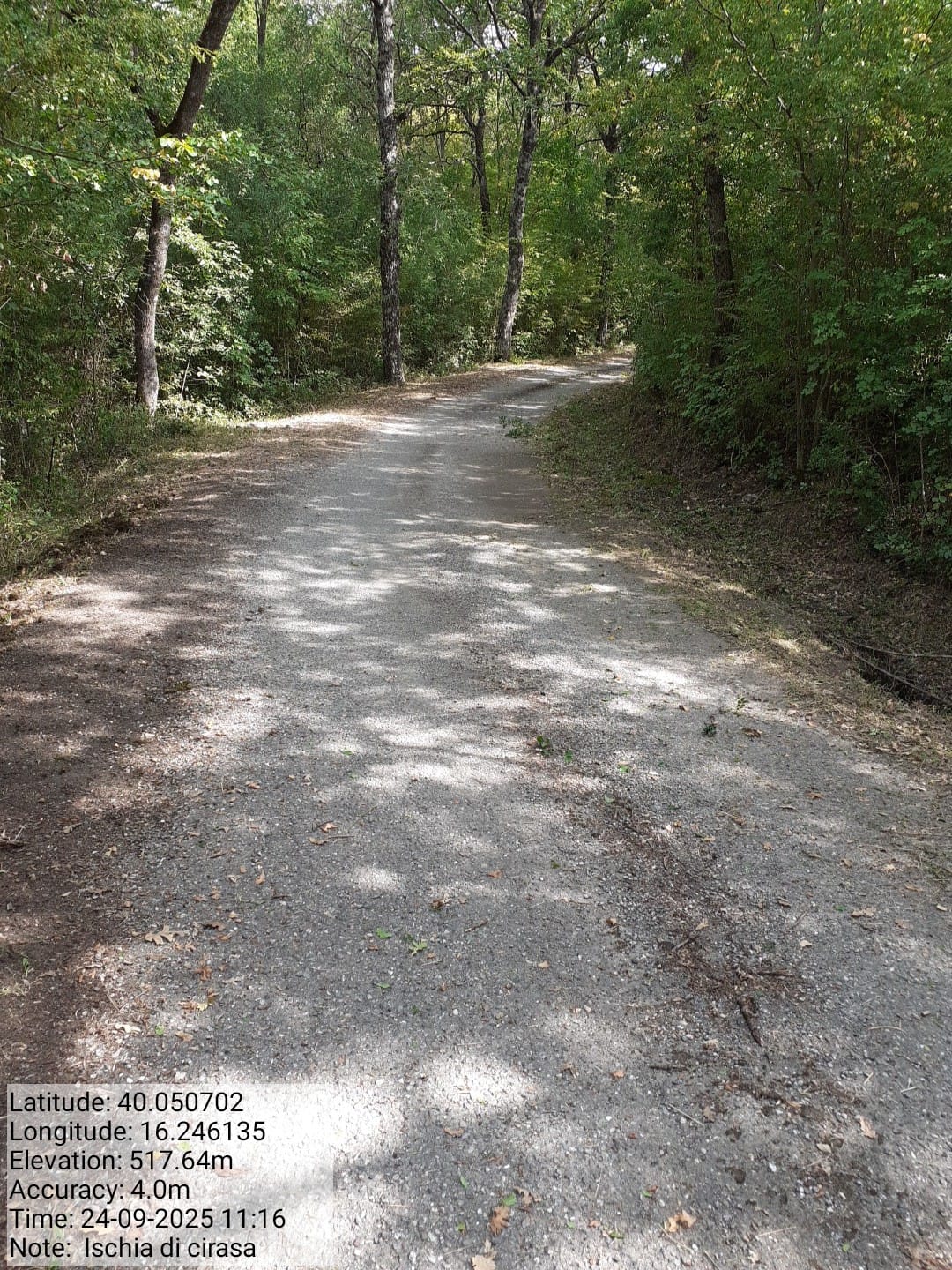 Galleria Fotografica Immagine