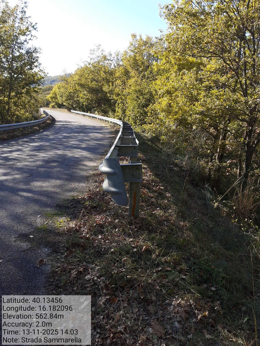 Galleria Fotografica Immagine