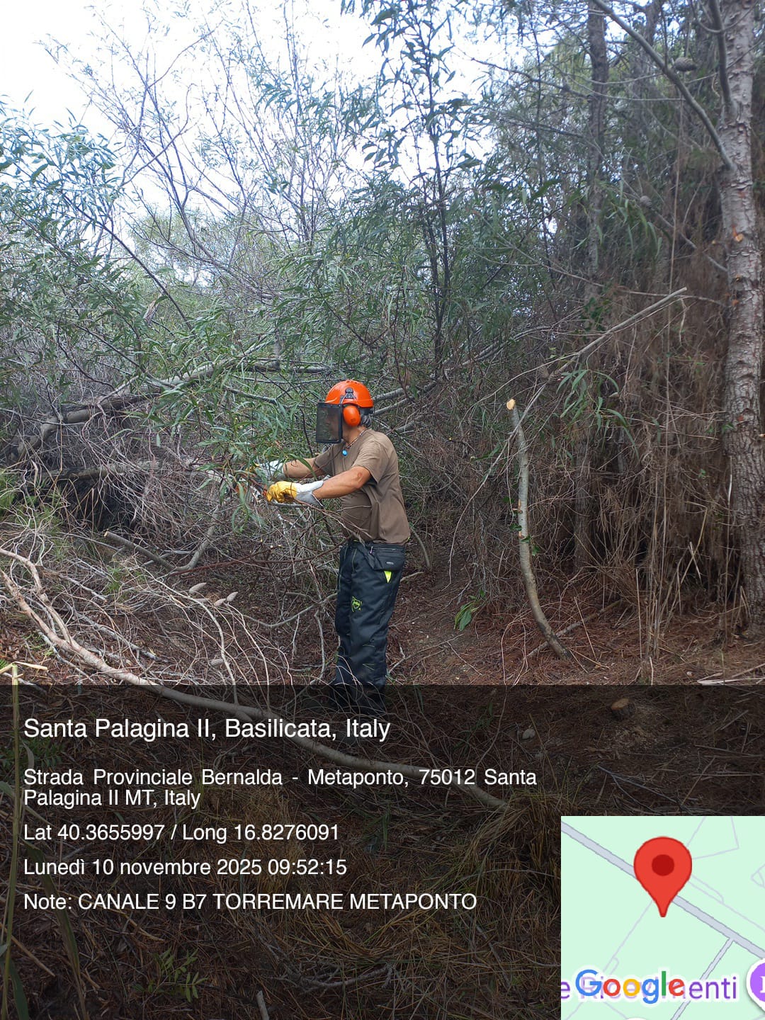 Galleria Fotografica Immagine