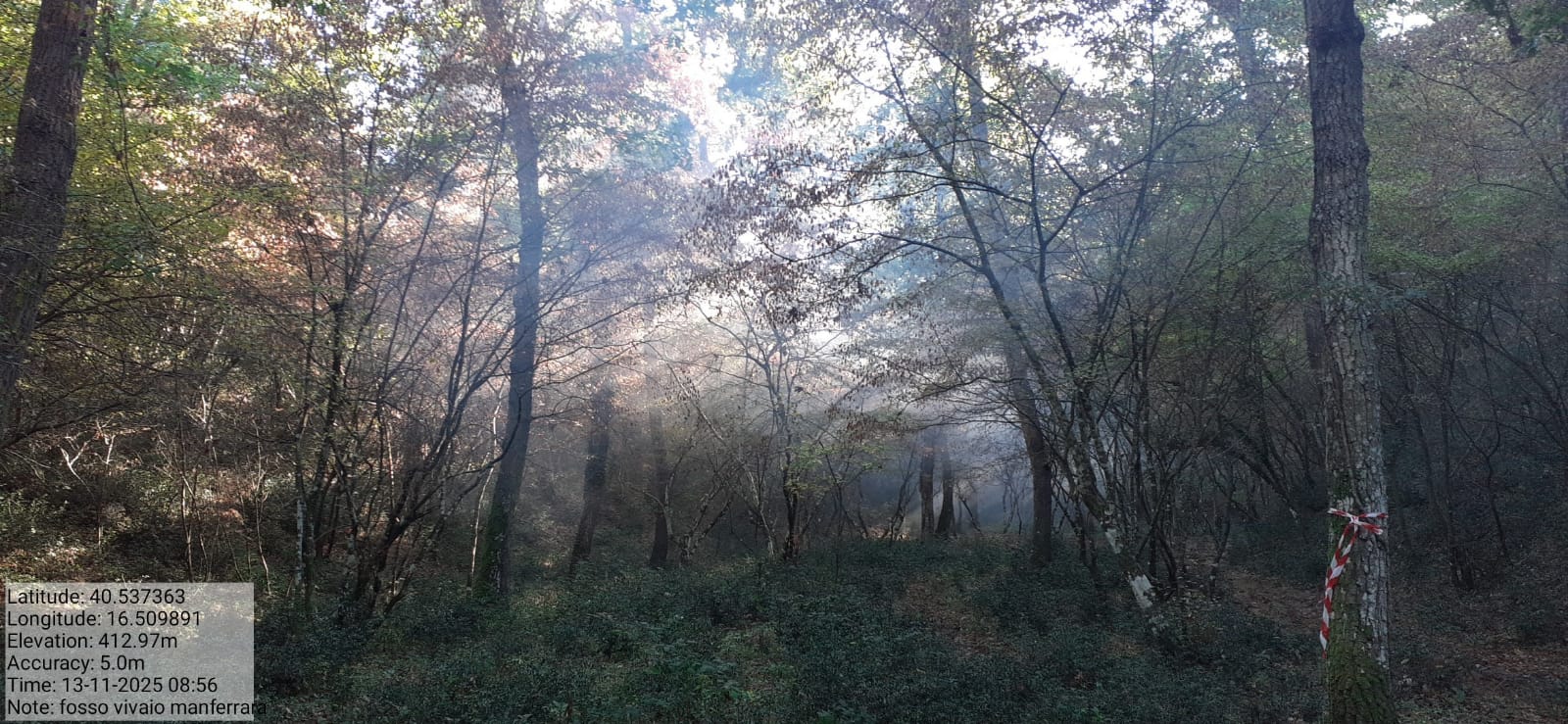 Galleria Fotografica Immagine