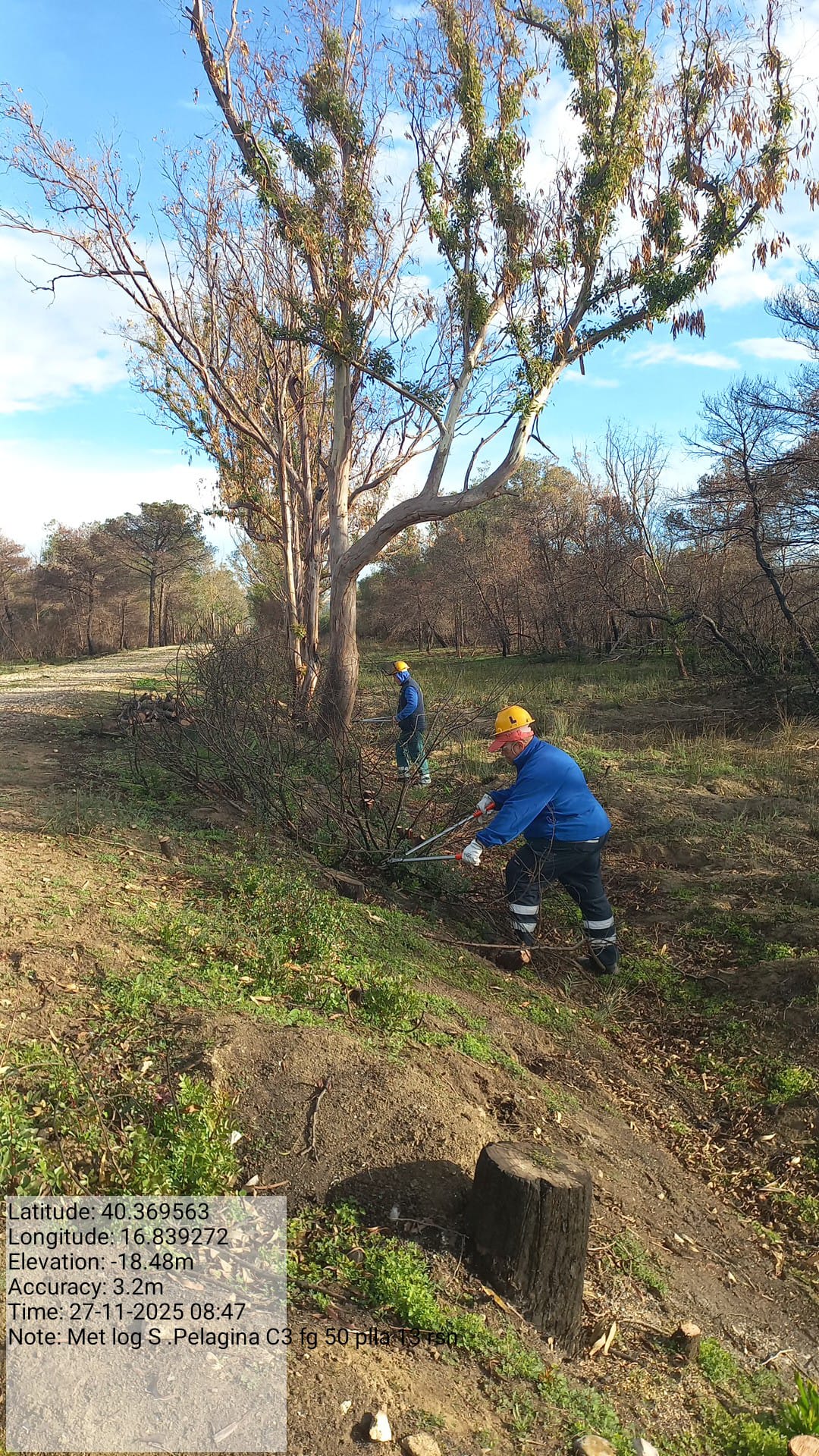 Galleria Fotografica Immagine
