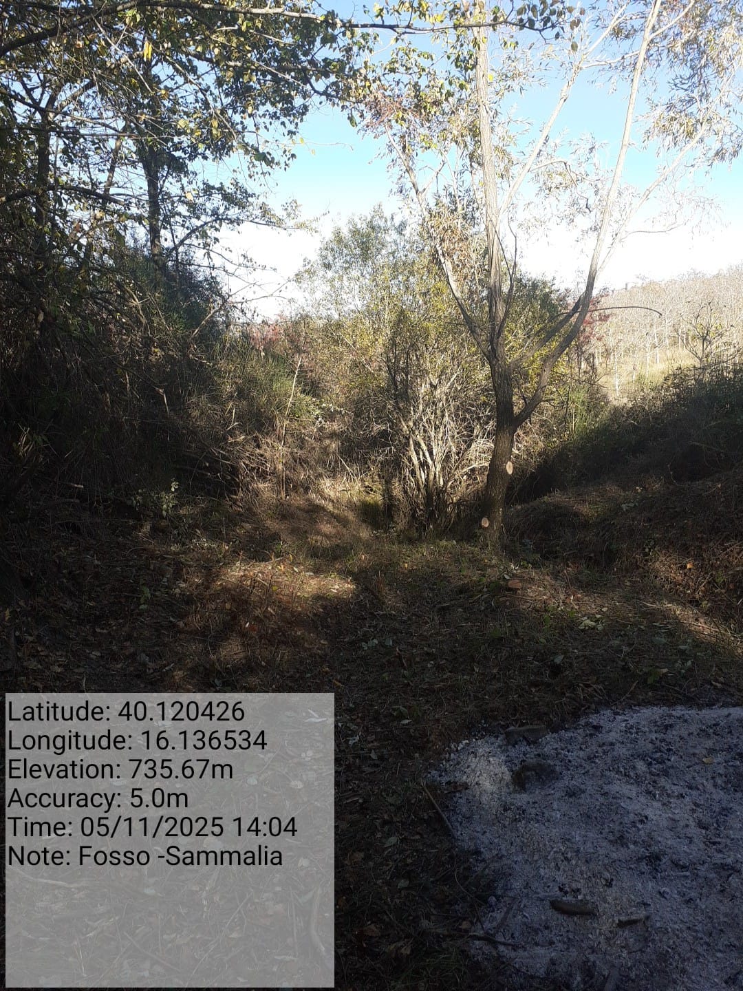 Galleria Fotografica Immagine