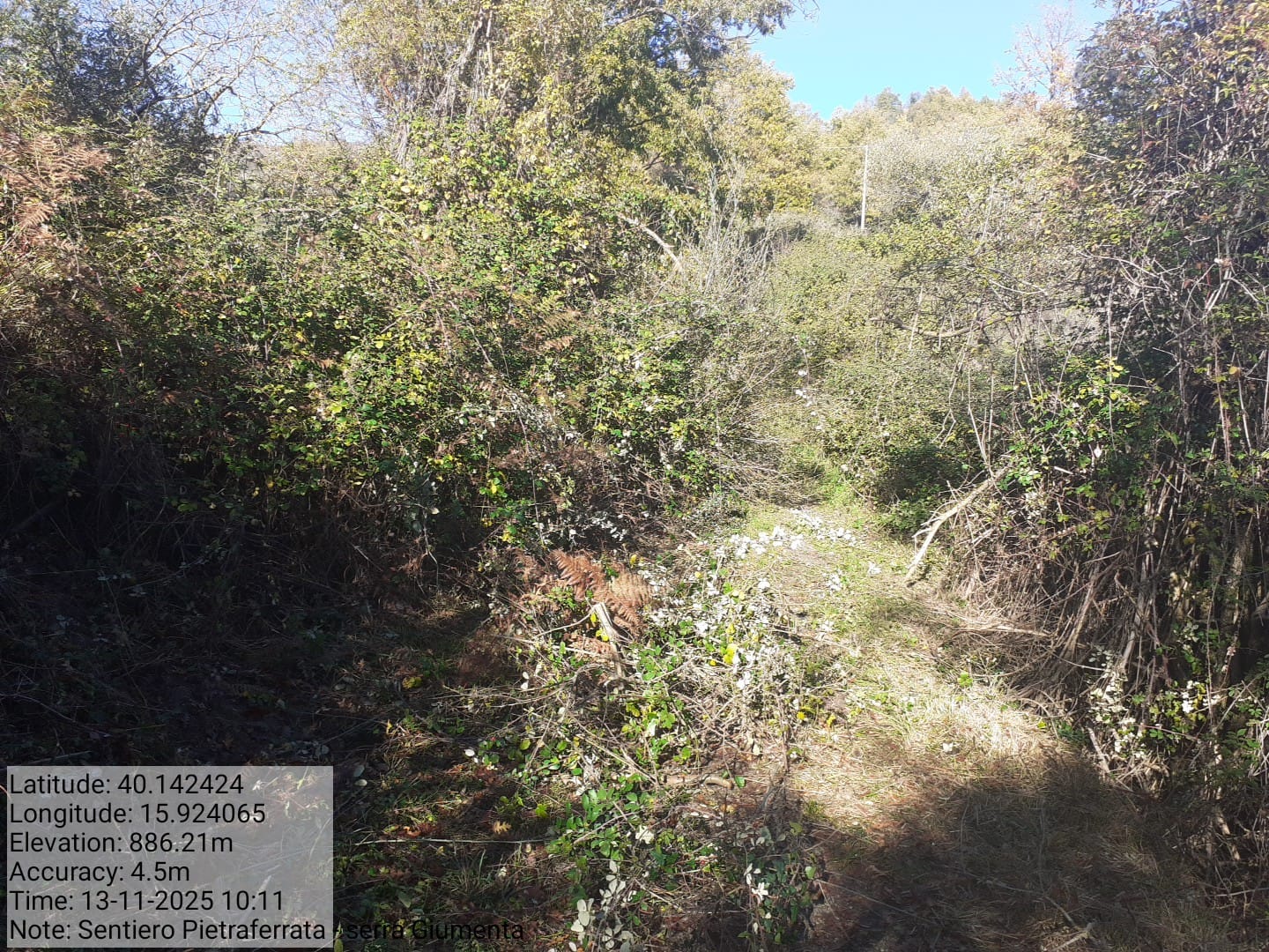 Galleria Fotografica Immagine