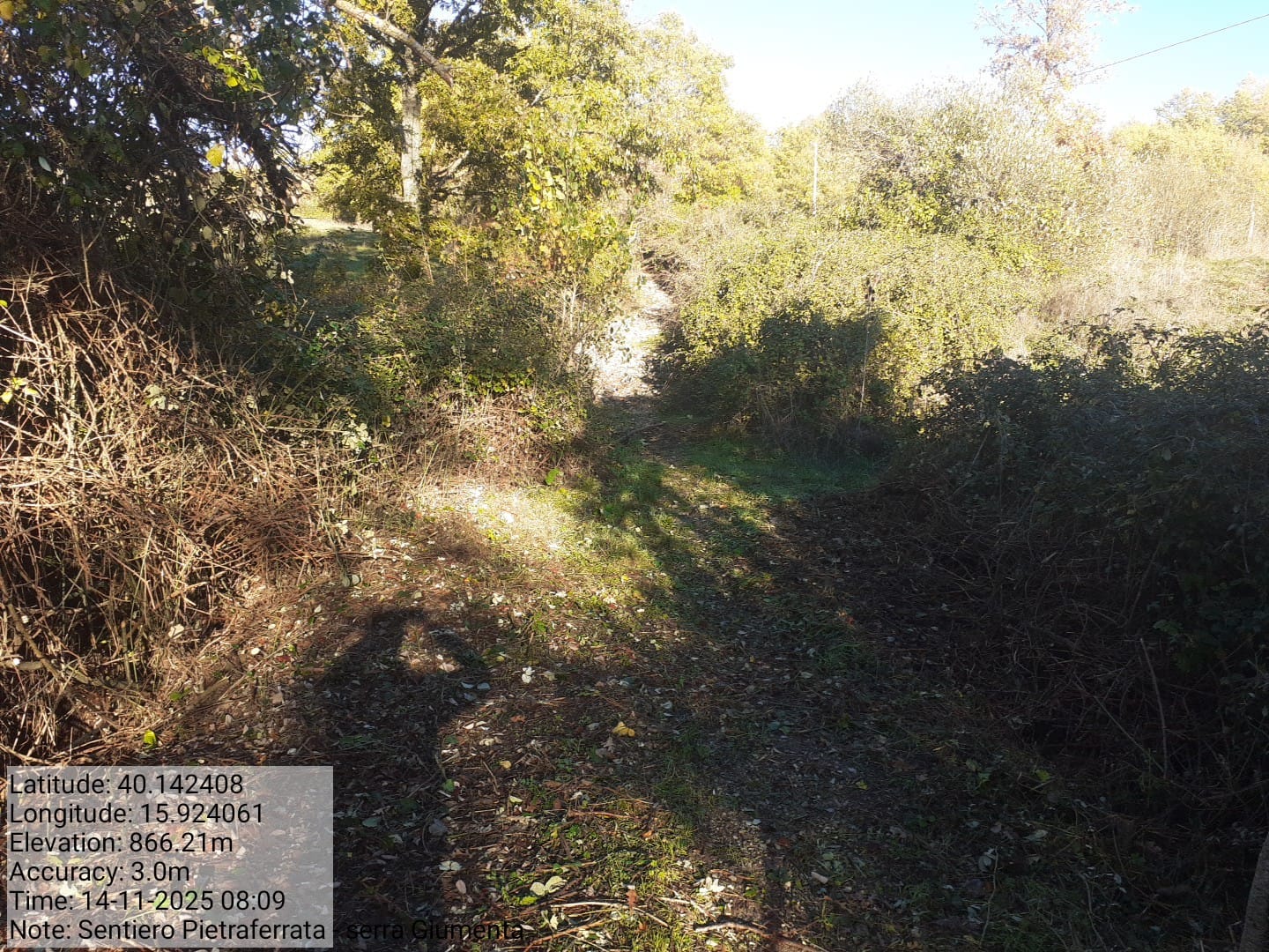 Galleria Fotografica Immagine