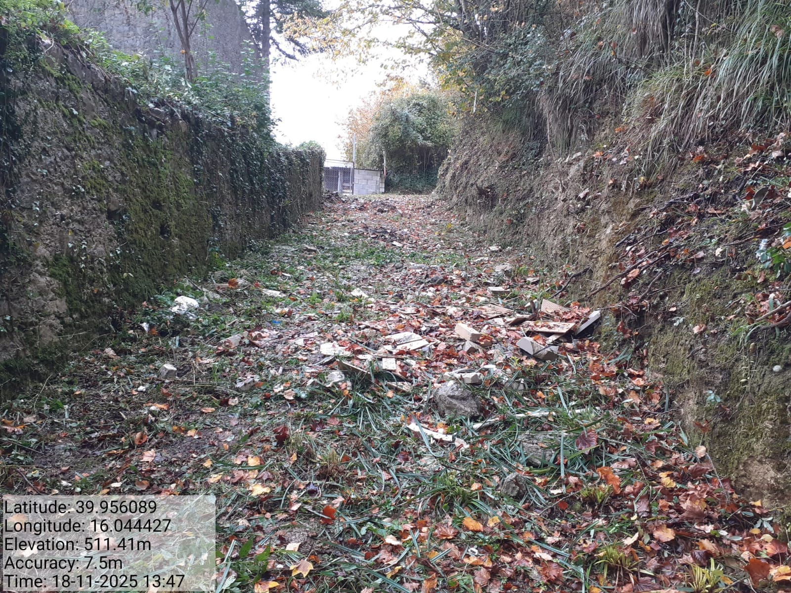 Galleria Fotografica Immagine