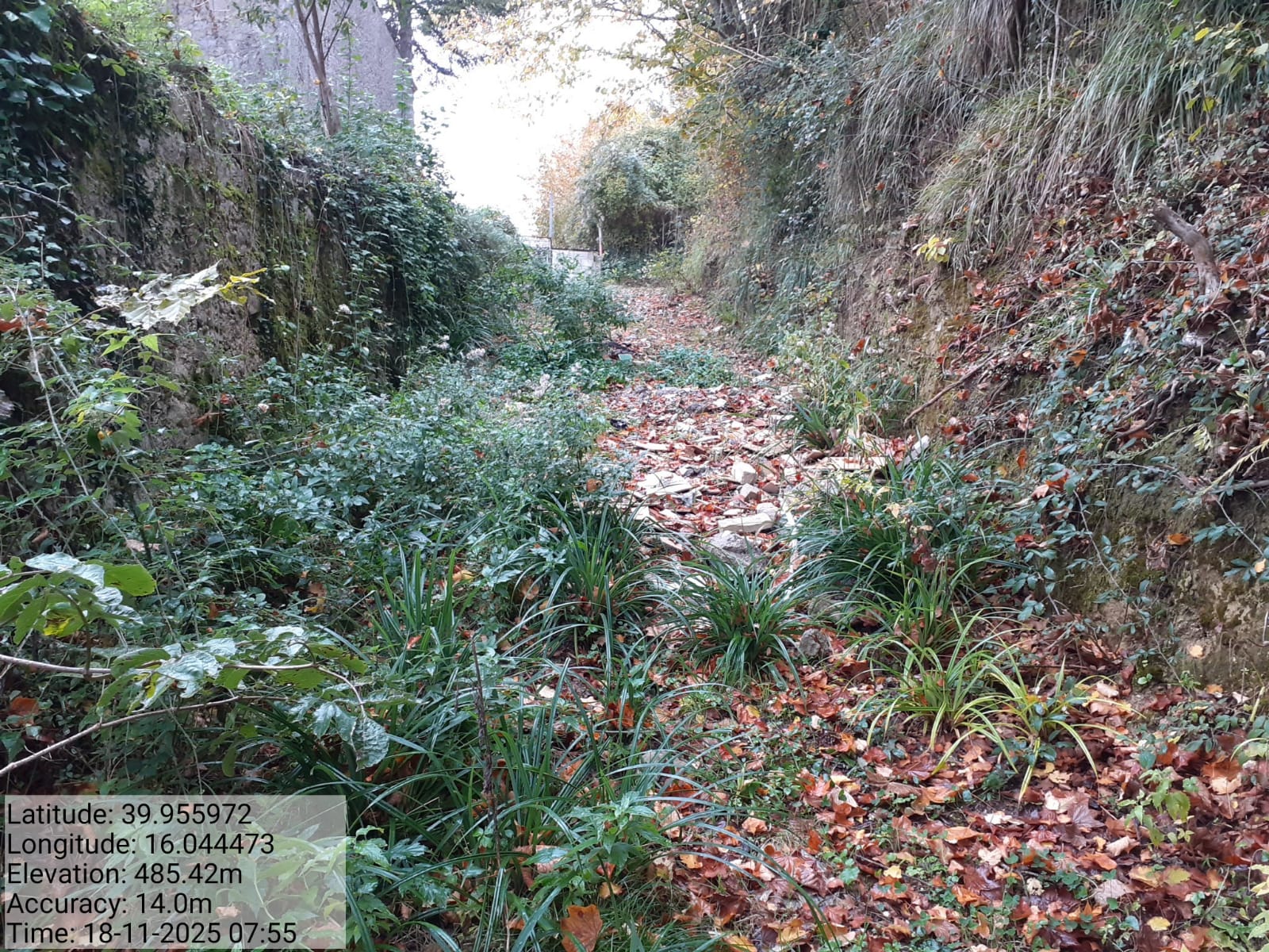 Galleria Fotografica Immagine