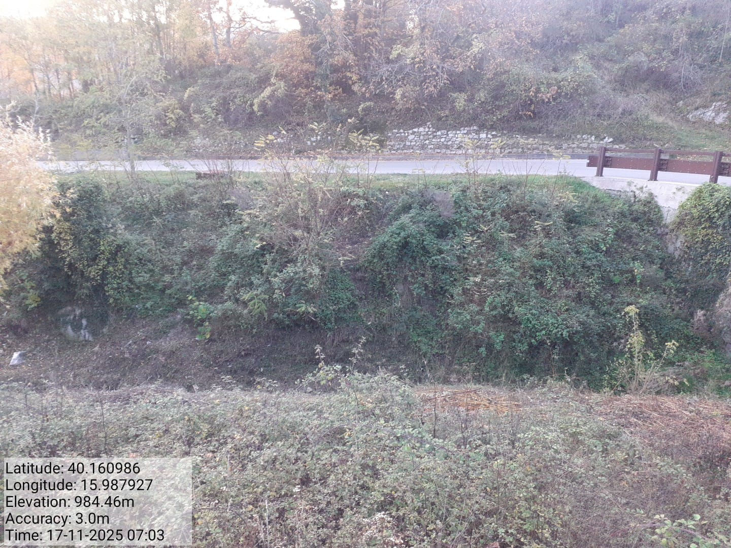 Galleria Fotografica Immagine