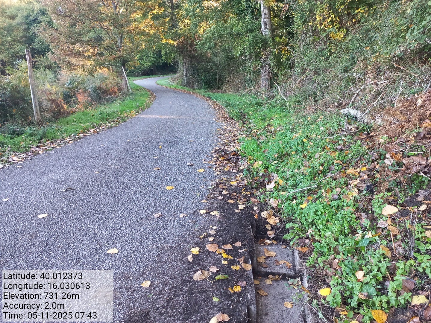 Galleria Fotografica Immagine