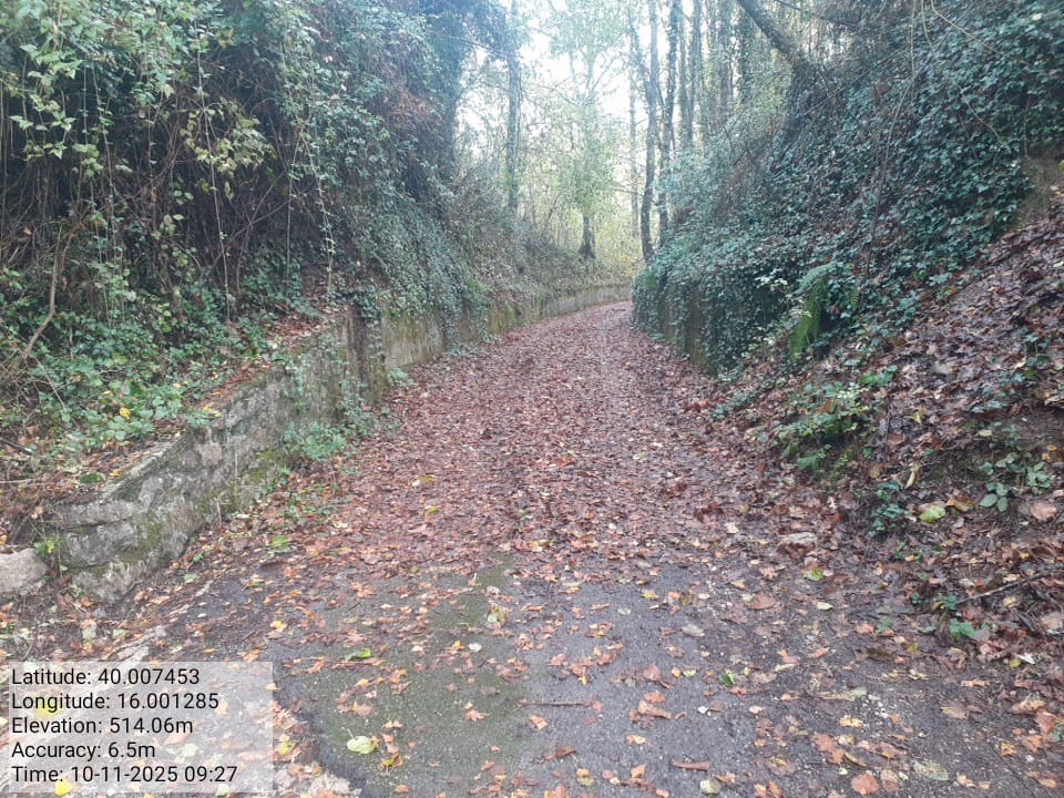 Galleria Fotografica Immagine