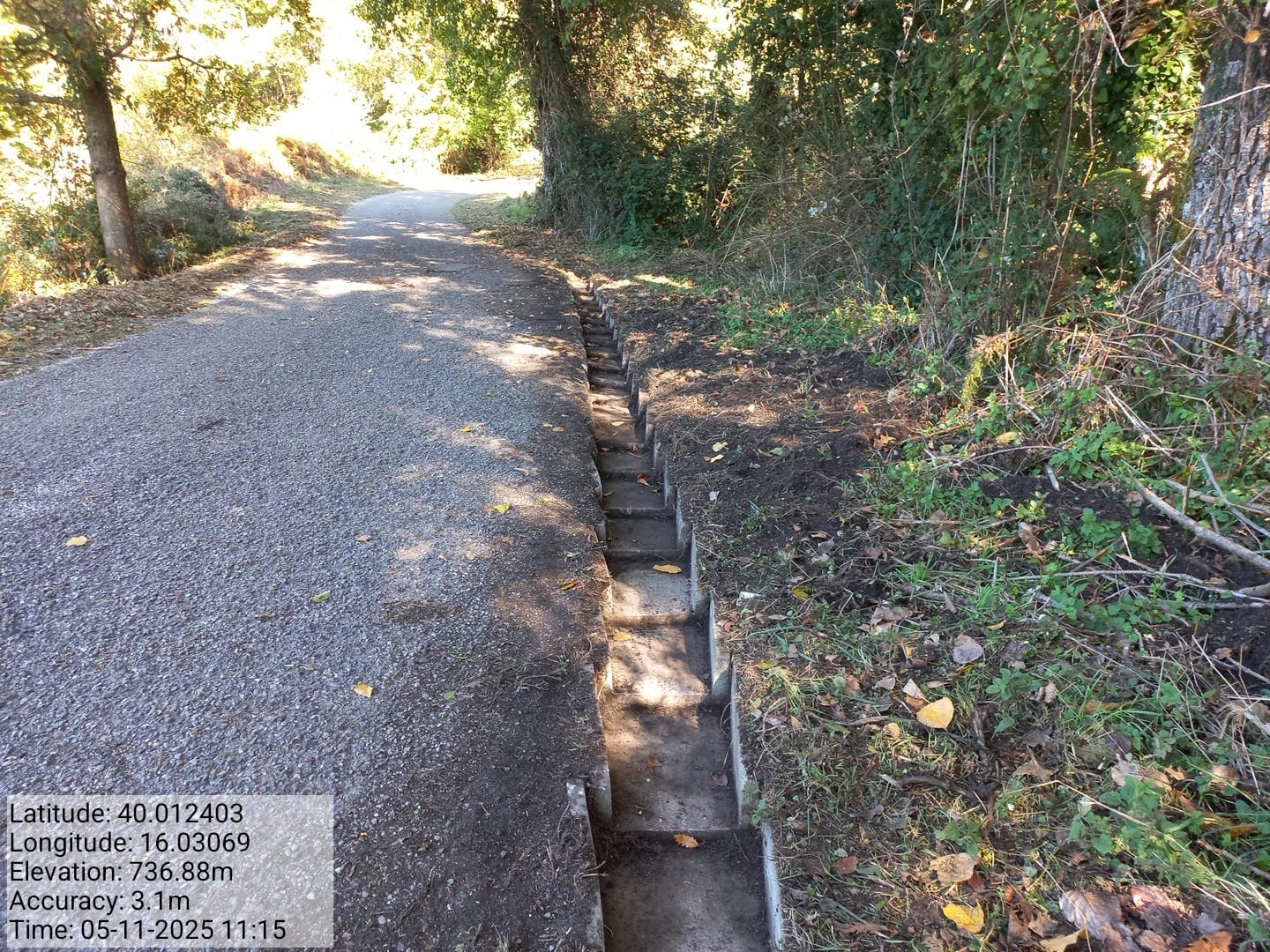 Galleria Fotografica Immagine