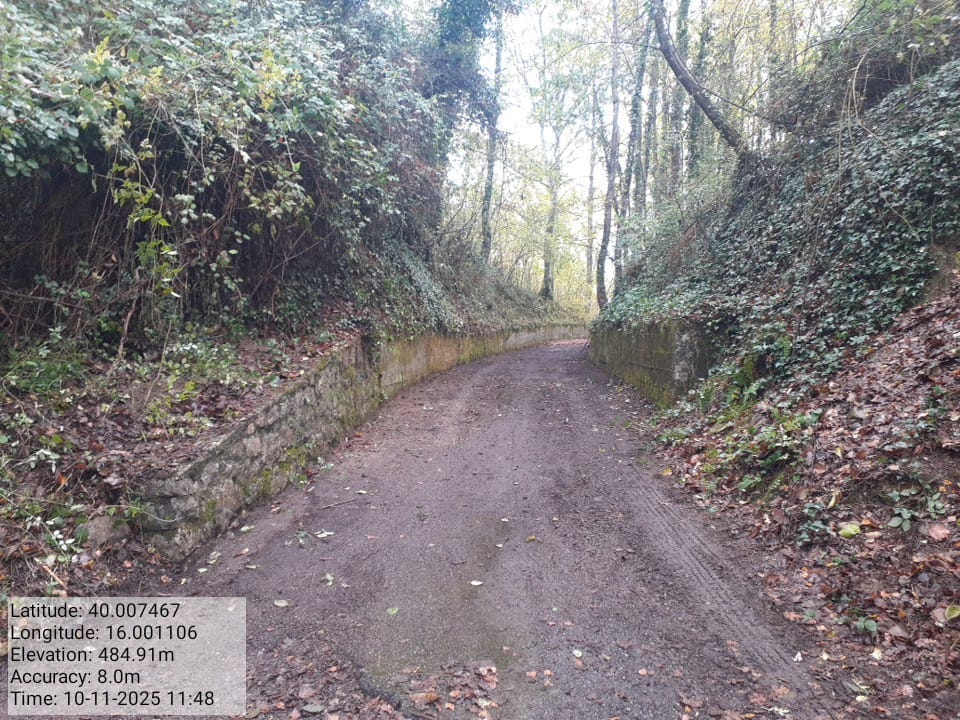 Galleria Fotografica Immagine