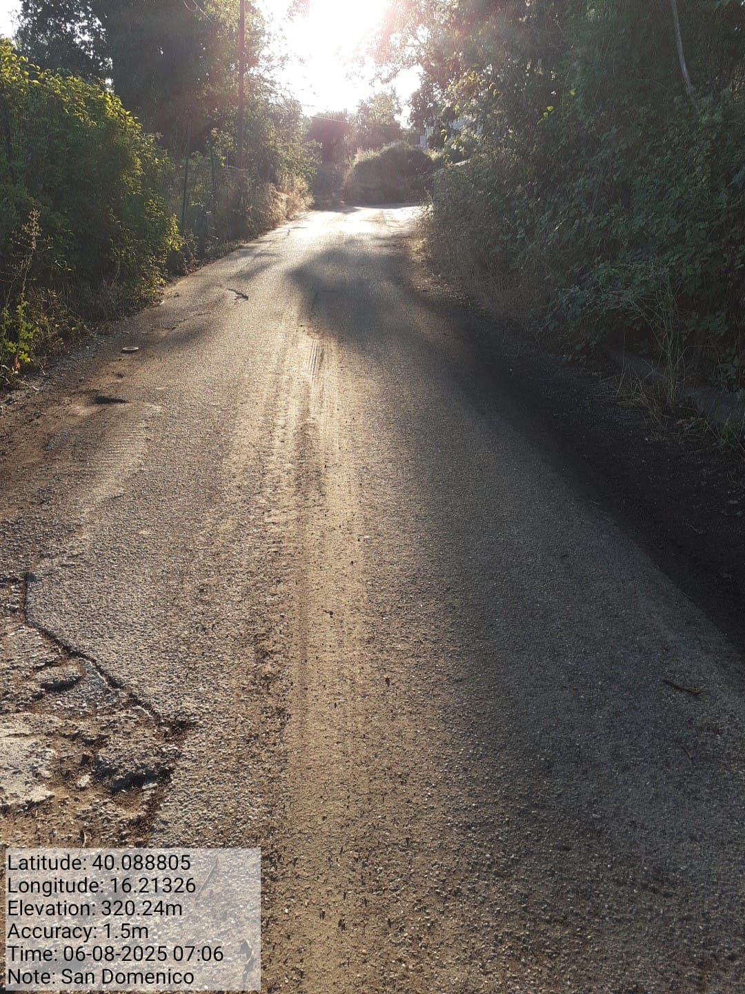 Galleria Fotografica Immagine