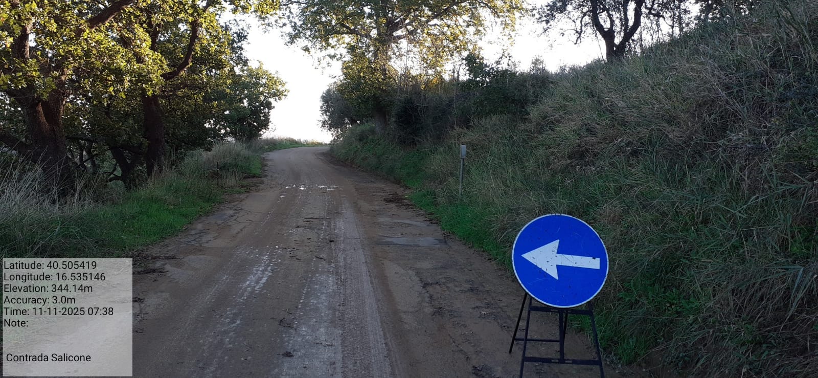 Galleria Fotografica Immagine