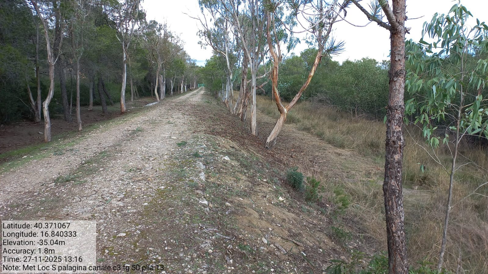 Galleria Fotografica Immagine