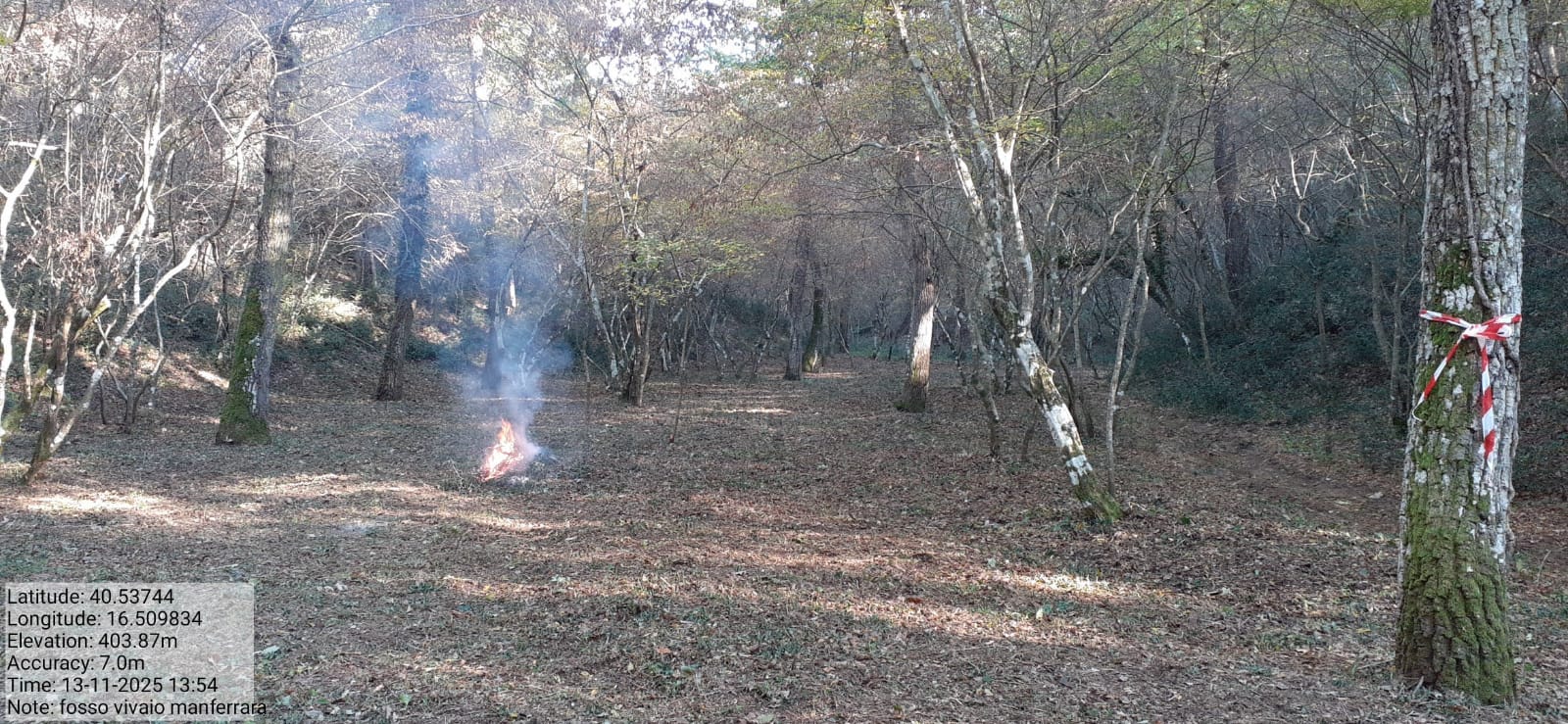 Galleria Fotografica Immagine