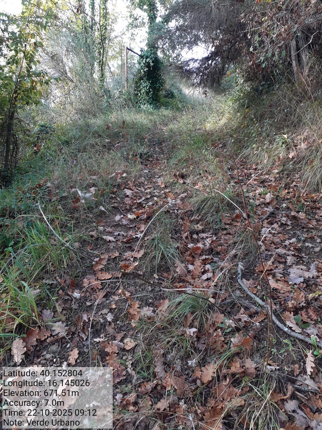 Galleria Fotografica Immagine