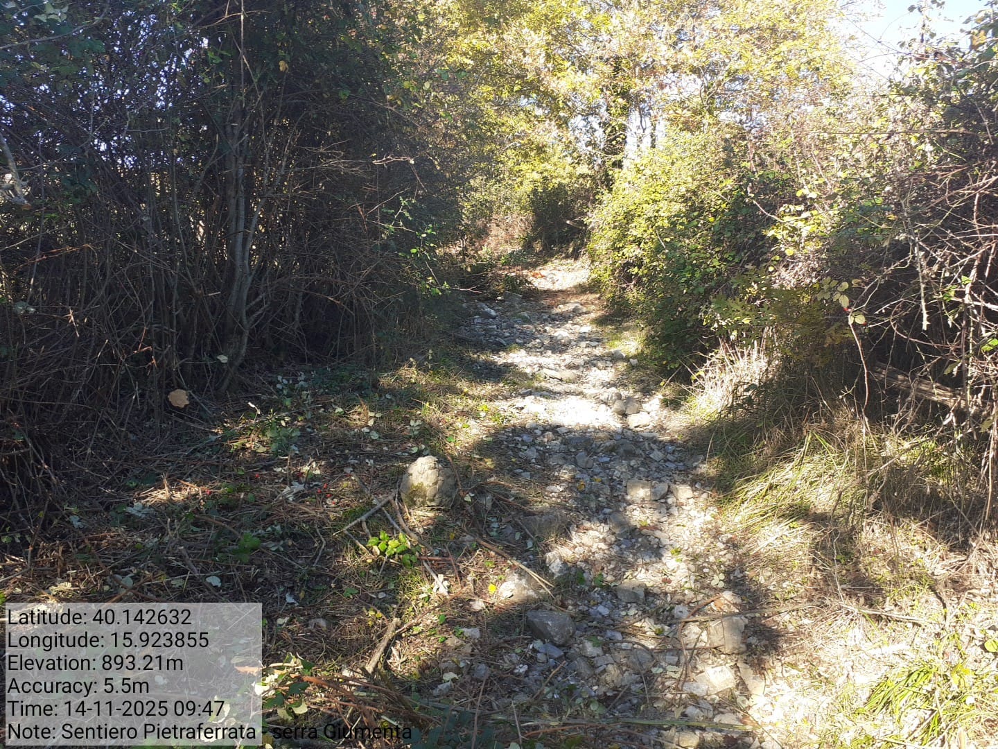 Galleria Fotografica Immagine