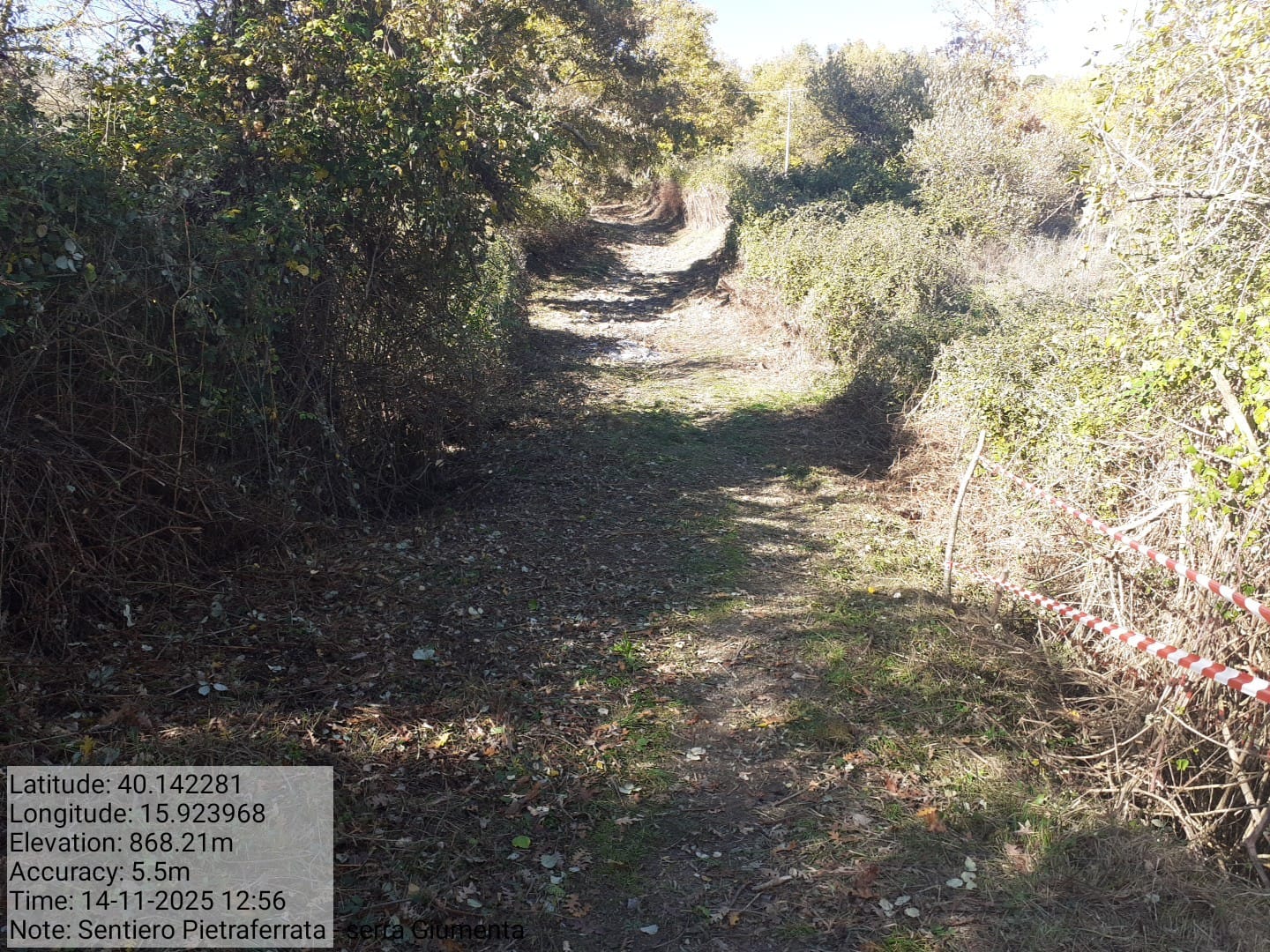 Galleria Fotografica Immagine